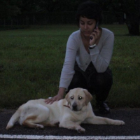 Photo #232099 de Yuna