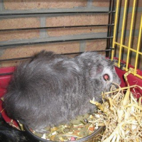 Photo #232156 de Praline