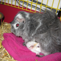 Photo #232158 de Praline