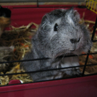 Photo #232160 de Praline