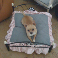 Photo #232193 de Carmelo