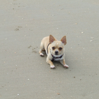 Photo #232206 de Carmelo