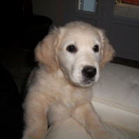 Photo #232232 de Ella alias mirka
