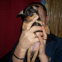 Photo #232310 de Fanny