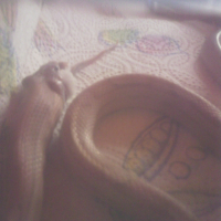 Photo #232317 de Kaah