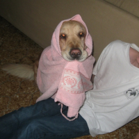 Photo #232331 de Bianca