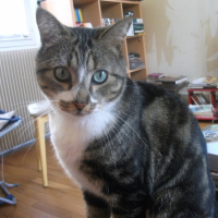 Photo #232413 de Lord 