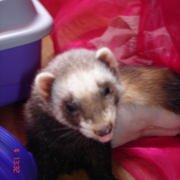 Photo #232542 de Cache