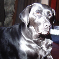 Photo #232554 de Kellie