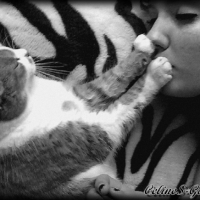 Un moment de tendresse