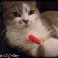 Photo #232623 de Grisette