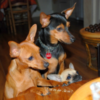 Photo #232627 de Emie