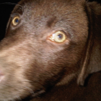 IMG00069-20091029-1828