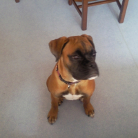 Photo #232798 de Daisy