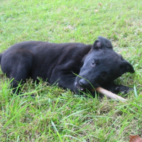 Photo #232837 de Cally