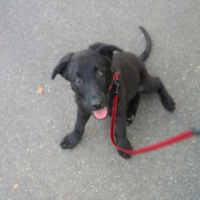 Photo #232840 de Cally