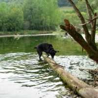 Ne te cache pas petit poisson !