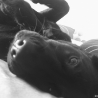Photo #232850 de Cally