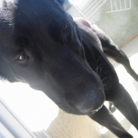 Photo #232853 de Cally