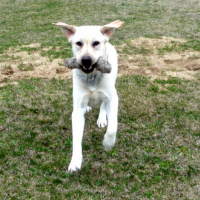 Photo #232902 de Jack