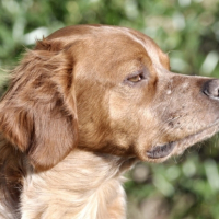 Photo #232909 de Casper