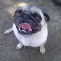 Photo #233182 de Misty