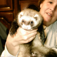 Photo #233259 de Epson