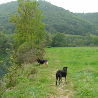 Moi, j'aime les grands espaces !!