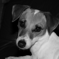 Photo #233309 de Easy