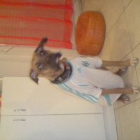 Photo #233376 de Dolia
