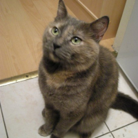 Photo #233394 de Lyssia 