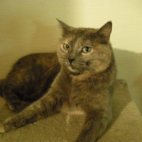 Photo #233397 de Lyssia 