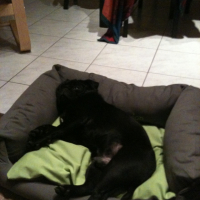 Photo #233535 de Elvin