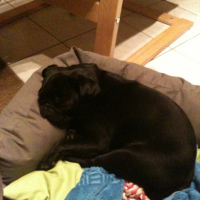Photo #233537 de Elvin