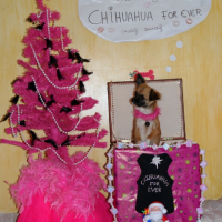 Photo #233541 de Emy