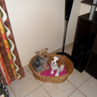 Photo #233571 de Eros