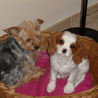 Photo #233572 de Eros