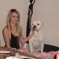 Photo #233594 de Vorace