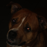 Photo #233611 de Maf 