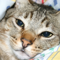 Photo #233678 de Titou