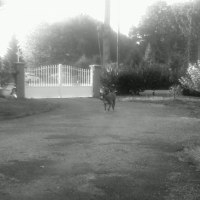 Photo #233689 de Conrad