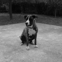 Photo #233691 de Conrad