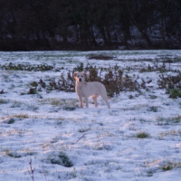 Photo #233765 de Eden