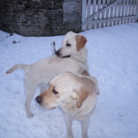 Photo #233770 de Eden