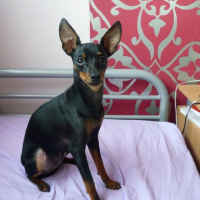 Photo #233822 de Lola