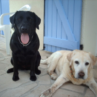 Photo #233824 de Ucye