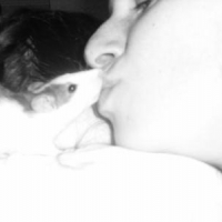 Photo #233906 de Djunky