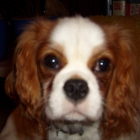 Photo #234022 de Happy