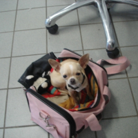 Photo #234033 de Docile