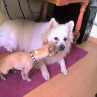 Photo #234035 de Docile